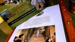 Harry Potter Au Cinéma Vol. 12 - Fêtes, Gastronomie Et Publications Du Monde Des Sorciers -Harry Potter 20201105 212720