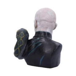 NEMESIS NOW Buste Lord Voldemort Et Nagini - Harry Potter 11 NEMESIS NOW Buste Lord Voldemort Et Nagini - Harry Potter -Harry Potter buste figurine lord voldemort et nagini resine harry potter1