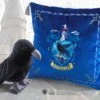 Coussin Serdaigle Et Peluche - Noble Collection - Harry Potter -Harry Potter coussin peluche corbeau aigle serdaigle harry potter