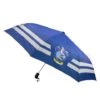 Parapluie Serdaigle 2 Parapluie Serdaigle -Harry Potter cr2003 480