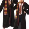 Déguisement Enfant Harry Potter Robe + Accessoires