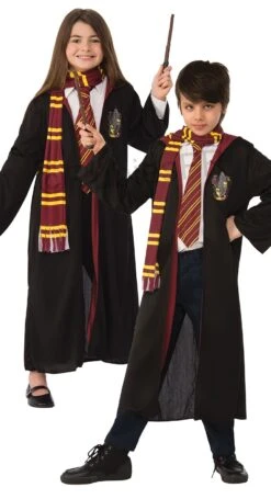 Déguisement Enfant Harry Potter Robe + Accessoires