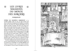 Edition Serdaigle 20 Ans Harry Potter Et Le Prince De Sang Mêlé -Harry Potter edition serdaigle 20 ans harry potter et le prince de sang mele 03