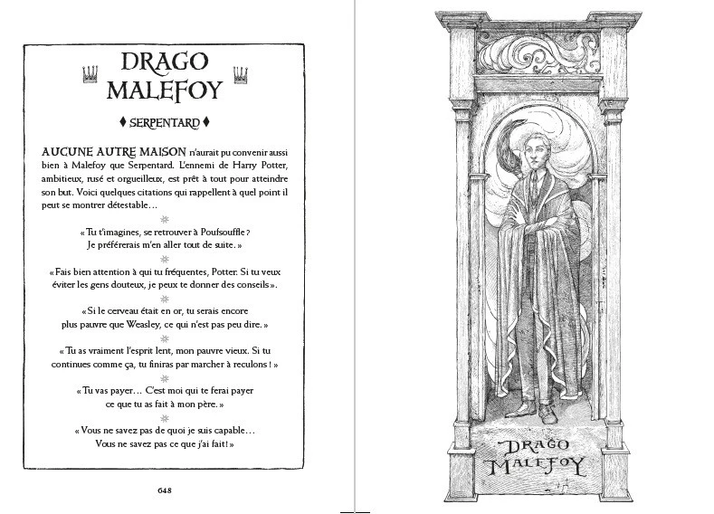 Edition Serpentard 20 Ans Harry Potter Et Le Prince De Sang Mêlé 3 Edition Serpentard 20 Ans Harry Potter Et Le Prince De Sang Mêlé – Image 2