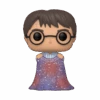 FUNKO Figurine Pop Harry W/Invisibility Cloak (cape Invisibilité) 2 FUNKO Figurine Pop Harry W/Invisibility Cloak (cape Invisibilité) -Harry Potter funko pop harry potter cape invisibilite 02