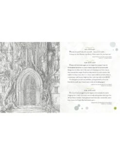 Harry Potter - A Magical Year Illustré Par Jim Kay -Harry Potter harry potter a magical year jim kay 03