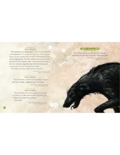 Harry Potter - A Magical Year Illustré Par Jim Kay -Harry Potter harry potter a magical year jim kay 04