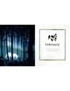 Harry Potter - A Magical Year Illustré Par Jim Kay -Harry Potter harry potter a magical year jim kay 08