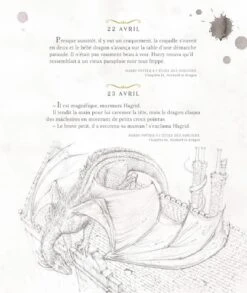 Harry Potter - Une Année De Magie - Illustré Par Jim Kay -Harry Potter harry potter une annee de magie jim kay livre 03