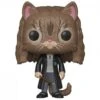 FUNKO Figurine Pop Hermione Chat 2 FUNKO Figurine Pop Hermione Chat -Harry Potter hermione6 s