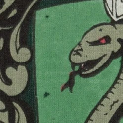 Sweat ENFANT à Capuche Slytherin (Serpentard) 7 Sweat ENFANT à Capuche Slytherin (Serpentard) – Image 5