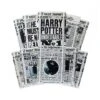 Lot 20 Cartes Postales The Daily Prophet