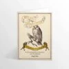 Carte De Voeux - Au Royaume Du Hibou -Harry Potter ihpcard30 480