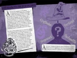 Harry Potter - Le Journal Créatif: Les Maisons De Poudlard -Harry Potter livre harry potter le journal creatif les maisons de poudlard 02