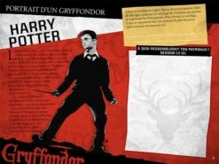 Harry Potter - Le Journal Créatif: Les Maisons De Poudlard -Harry Potter livre harry potter le journal creatif les maisons de poudlard 03