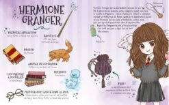 Poudlard - Le Dressing - Harry Potter -Harry Potter livre harry potter poudlard le dressing 04