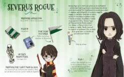 Poudlard - Le Dressing - Harry Potter -Harry Potter livre harry potter poudlard le dressing 08