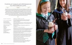 Harry Potter - Festins Et Festivités - Loisirs Créatifs 11 Harry Potter - Festins Et Festivités - Loisirs Créatifs -Harry Potter livre idee recette banquet harry potter