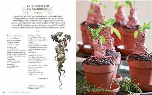 Harry Potter - Festins Et Festivités - Loisirs Créatifs 7 Harry Potter - Festins Et Festivités - Loisirs Créatifs – Image 5