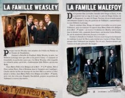 Livre La Bataille De Poudlard 9 Livre La Bataille De Poudlard -Harry Potter livre la bataille de poudlard 02