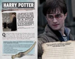 Livre La Bataille De Poudlard 8 Livre La Bataille De Poudlard -Harry Potter livre la bataille de poudlard 1