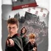 Parure De Lit Harry Potter Trio - 1 Personne 2 Parure De Lit Harry Potter Trio - 1 Personne -Harry Potter parure draps de lit housse et taille oreiller harry potter ron weasley hermione granger