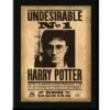 Plaque Undesirable N°1 - Noble Collection - Harry Potter -Harry Potter plaque undesirable no 1 harry potter noble collection