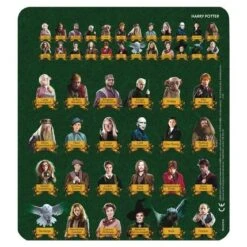 Qui Est-ce? Harry Potter -Harry Potter qui est ce harry potter 03